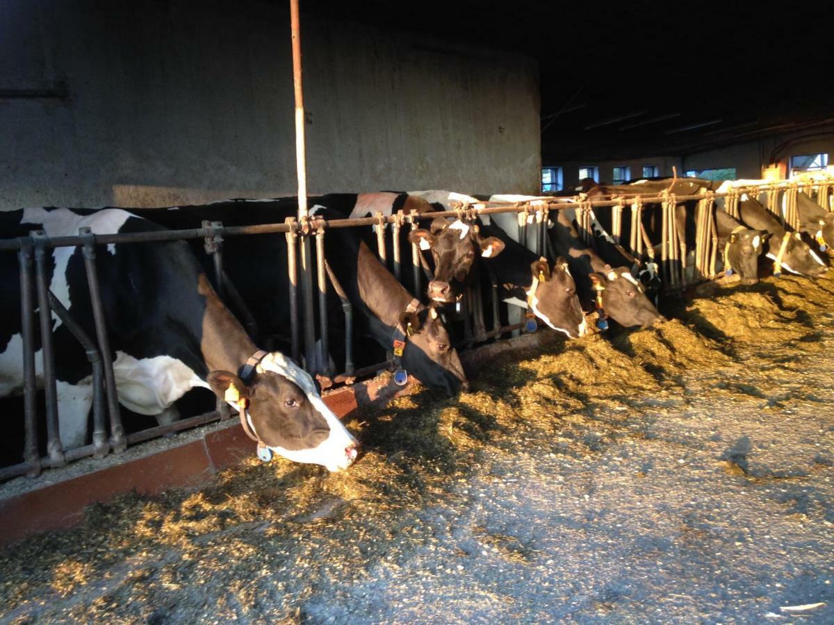 Ferienhof Loew Salzweg Ngoại thất bức ảnh